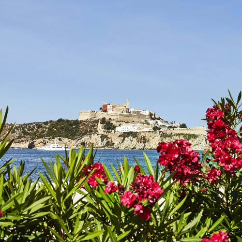 A picturesque view of a historical city by the water, framed by vibrant flowers.